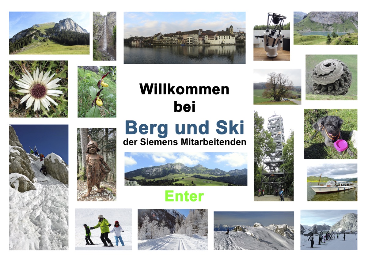 Bildersammlung Ernst